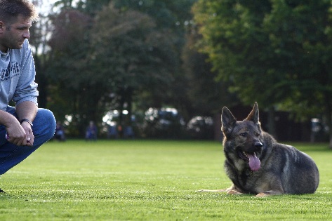 Hundewiese Eickhorst